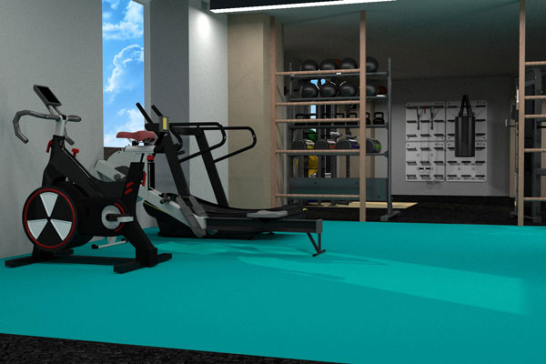 3D illustration of bespoke designed gym