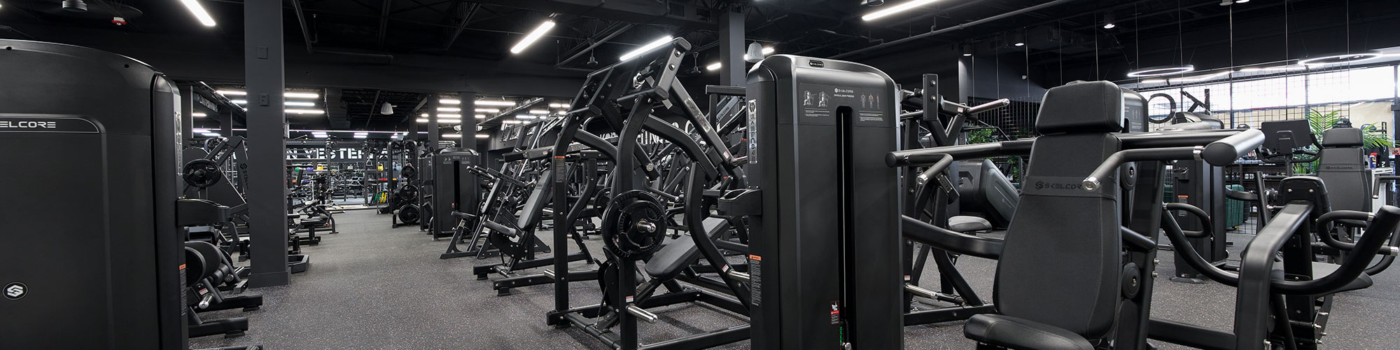 Gym design and fitness equipment from CYC Fitness