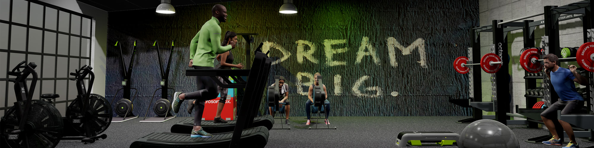 3D model of bespoke gym design