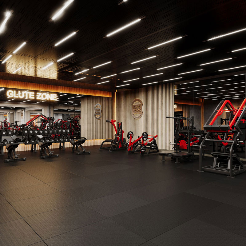 Independent Gyms