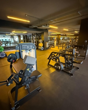 Kings Gym - Brighton