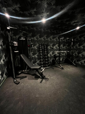Luxury Home Gym - London