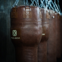 Project Completion: Hybrid HYROX Training Zone