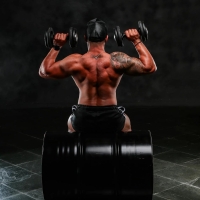 Best Exercises For Shoulders