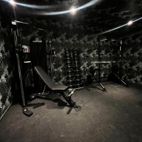 Luxury Home Gym - London