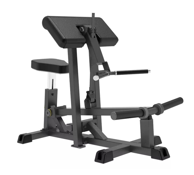 Bicep curl with plate online