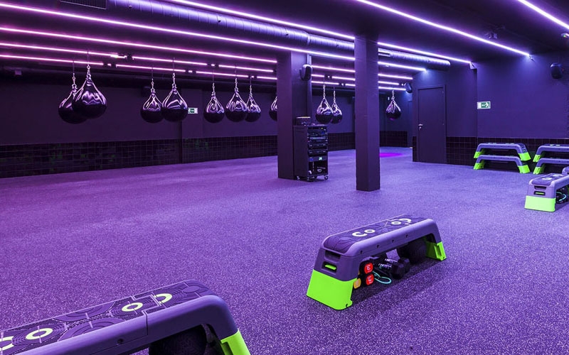 Gym Flooring Turf - Purple