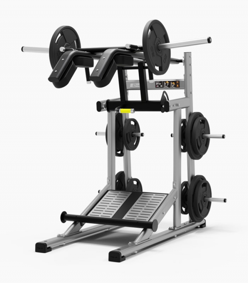 Exigo smith machine cheap
