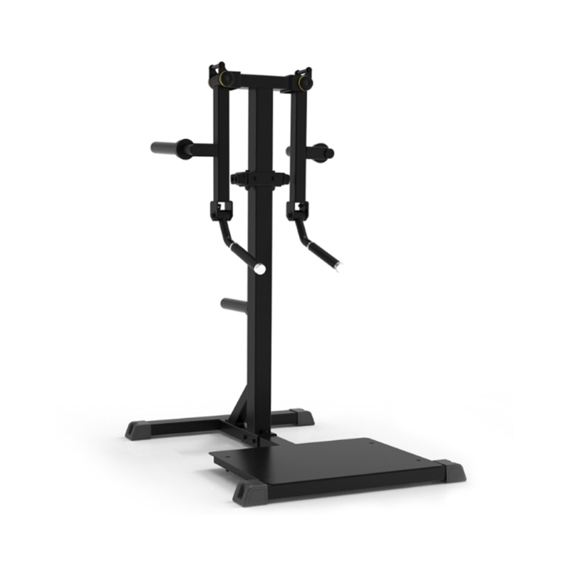 Impulse Plate Loaded Standing Lateral Raise