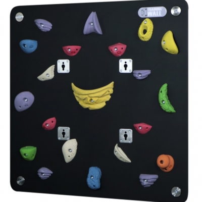 Training Wall® Climbing Wall Panel