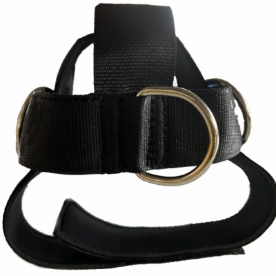 Kynett Head Harness