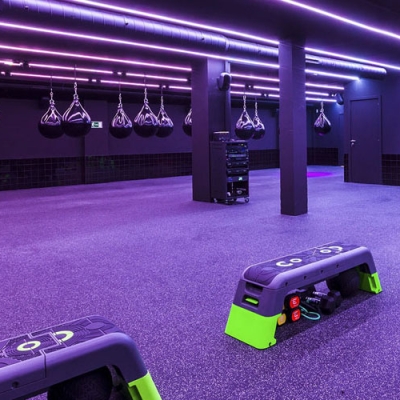 Gym Flooring Turf - Purple