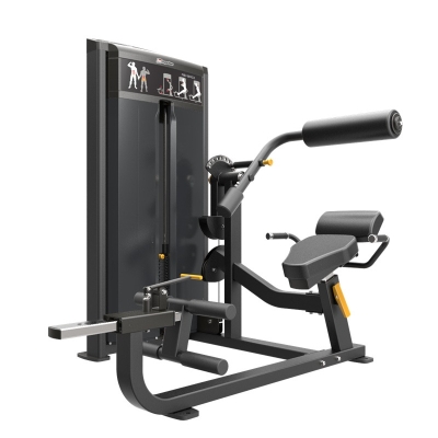  Pro Series IF9334 Abdominal & Back Extension