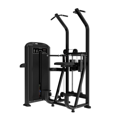 Skelcore Pro Series Dip & Pull Up Pin Load Machine