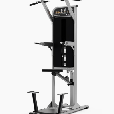 Exigo Assisted Chin / Dip 
