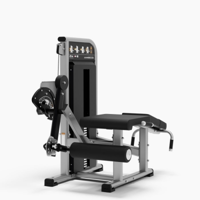Exigo Leg Extension / Leg Curl 