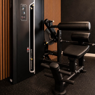 Forge Strength&reg; Swiss Series Ab Crunch / Lower Back