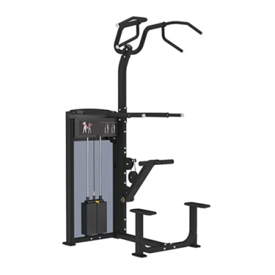 Impulse Pro Series IF93 Assisted Chin/Dip