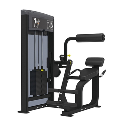 Pro Series IF93 Back Extension