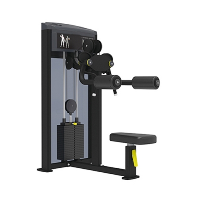 Impulse Pro Series IF93 Lateral Raise