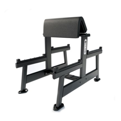 Skelcore Pro Standing Preacher Curl Machine