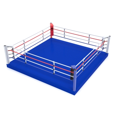 Training Pro Boxing Ring - Blue